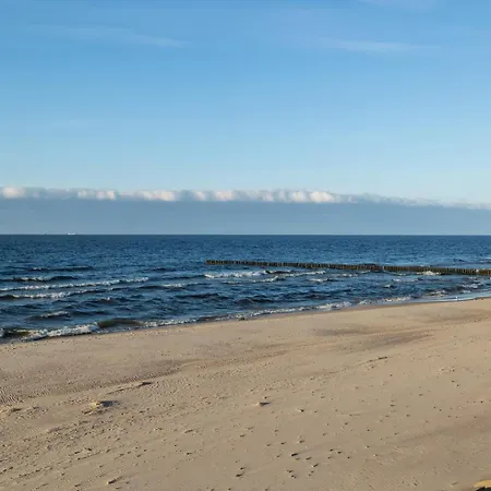 Gardenia Wydma Morska 4 D&d